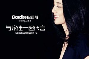 建材行业巴迪斯品牌介绍（PDF）