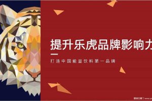 乐虎饮料2017品牌传播规划方案（PDF）