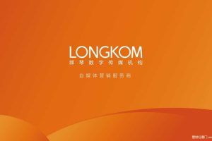 嘉华鲜花饼2017年SEO&SEM规划方案（PPT）