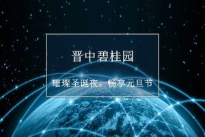 晋中碧桂园2017璀璨圣诞夜畅享元旦节活动方案（PPT）