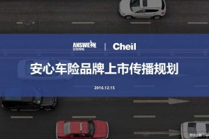 安心车险2017品牌上市传播规划比稿方案（PPT）