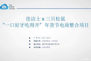 佳洁士 x 三只松鼠2017“一口好牙吃得开”年货节电商整合项目（PPT）