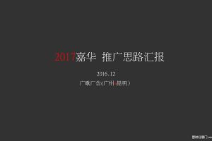 嘉华花果酱品牌塑造暨2017年形象视觉规范方案（PPT）