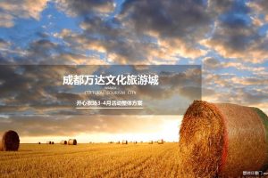 成都万达文化旅游城开心农场2017年3-4月暖场活动方案（PPT）