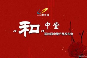 碧桂园中堂2017产品发布会策划案（PPT）