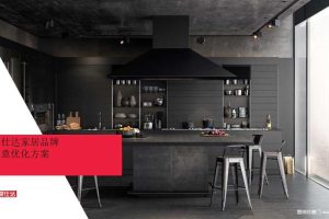 爱仕达家居2017品牌形象创意优化方案（PPT）