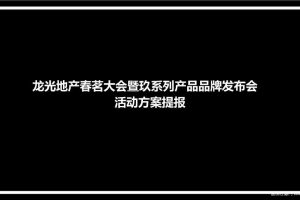 龙光地产2017春茗大会暨玖系列产品品牌发布会活动方案（PPT）