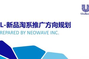 联合利华新品淘宝系推广执行方案（PPT）