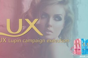 力士垂顺&清爽（粉蓝）2017上市路演活动方案（PPT）