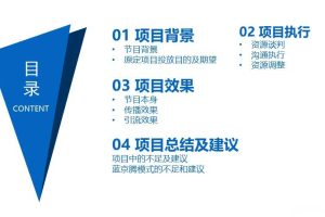 蓝月亮x《拜托了衣橱》2017联合冠名项目结案报告（PPT）