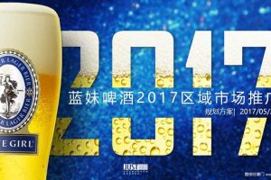 蓝妹啤酒2017区域市场推广规划方案（PPT）
