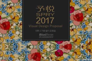 华劲予悦花影系列品牌抽纸2017产品设计制作提案（PPT）