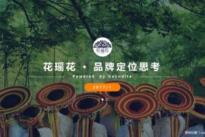 花瑶花2017年度品牌定位传播方案（PPT）