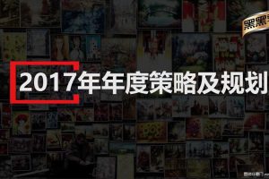 黑黑乳2017年度品牌策略及规划执行方案（PPT）