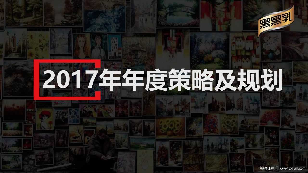 【营销任意门】黑黑乳2017年度品牌策略及规划执行方案00