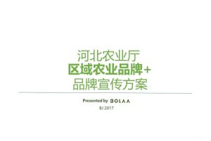 河北农业厅“丰饶河北”2017双微搭建运营方案（PPT）