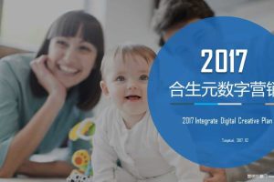 合生元2017数字营销方案（PPT）