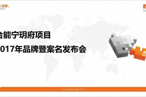 合能宁玥府项目2017品牌暨案名发布会策划案（PPT）