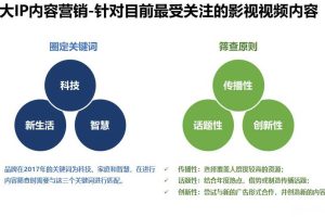 海尔2017年品牌策略规划-大IP内容营销示意部分（PPT）