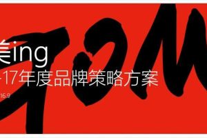 国美2016-2017年品牌策略方案（PPT）