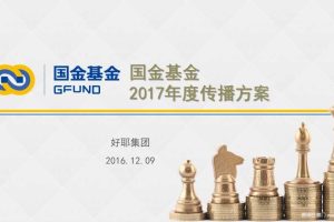 国金基金2017年度传播方案（PPT）