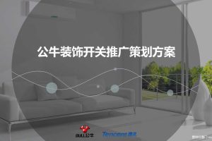 公牛装饰开关2017推广策划方案（PPT）