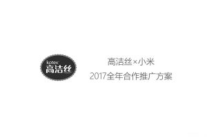 高洁丝x小米营销2017全年合作推广规划方案（PPT）