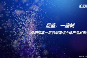 阜阳丽丰一品泊景湾综合体产品2017发布会策划案（PPT）