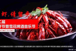 东原城·番玖台2017绵阳第二届龙虾节暨雪花啤酒音乐节策划案（PPT）