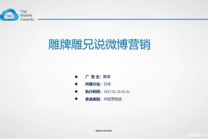 雕牌雕兄说2017微博营销案例（PPT）