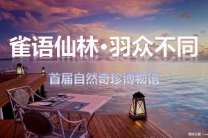 地产项目2017春季孔雀百鸟展策划案（PPT）