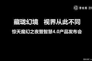 碧桂园·珑悦2017惊天魔幻之夜暨智慧4.0产品发布会策划案（PPT）