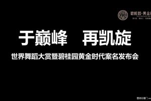 碧桂园·黄金时代2017世界舞蹈大赏暨新地块案名发布会策划案（PPT）