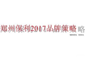 保利（郑州）2017品牌策略方案（PPT）