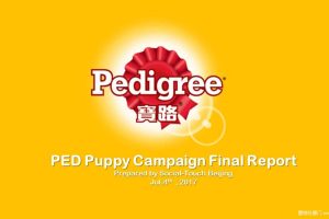 宝路Pedigree Puppy 2017 Campaign Final Report_时趣互动（PPT）