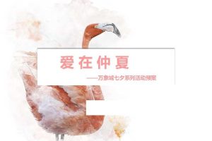 华润万象城（赣州）2017七夕系列活动预案（PDF）