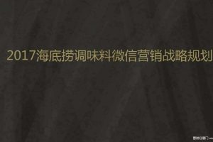 海底捞调味品2017微信营销战略规划方案（PDF）