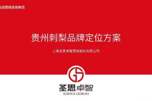 贵州刺梨2017品牌定位方案（PDF）