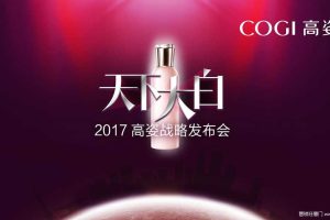 高姿2017品牌战略及整合营销传播方案（PDF）