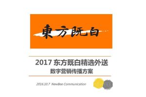 东方既白精选外送2017数字营销方案（PDF）