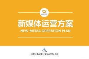 滴滴快车2017新媒体运营规划（PDF）