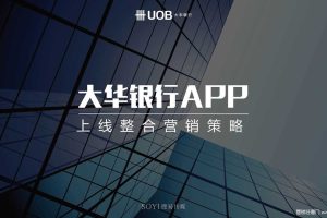大华银行APP2017上线整合营销策略方案（PDF）