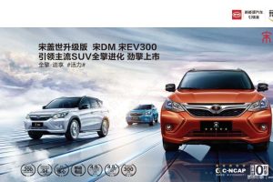 比亚迪2017媒体活动接待方案-蓝色光标（PDF）