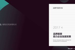 倍加洁2017品牌升级提案文件（PDF）