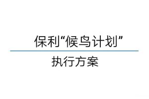 保利“候鸟计划”-蓝途行动公关事件营销执行方案（PDF）