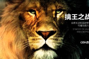 金锣无淀粉火腿肠食品品牌整合传播沟通方案（PDF）