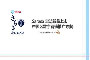 宝洁新品上市中国区数字营销方案（PDF）