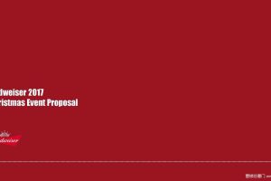 百威2017圣诞狂欢活动方案（PDF）