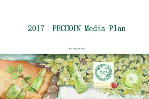 百雀羚2017年度媒介策略规划方案（PDF）