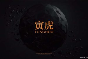 星河南京项目2018年整合营销提报（PDF）